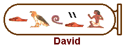 David