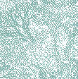algues fossiles