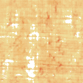 papyrus 2